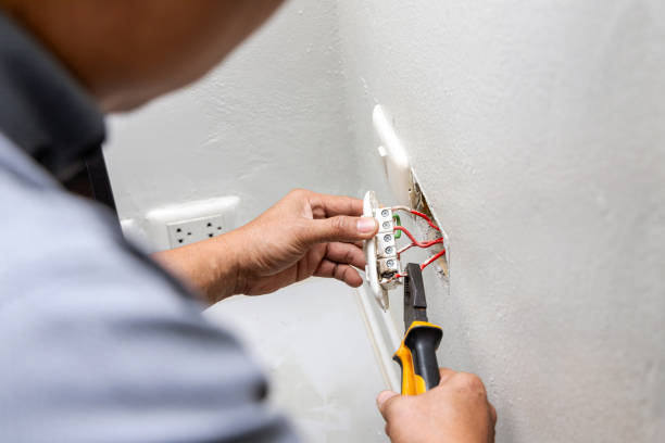 Best Electric Panel Repair  in Potosi, MO